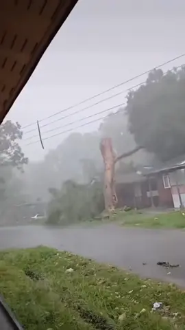 bão khẩn cấp cơn bão số 13 càn quét miền trung  #kalmaegi #thientai #lulut #tinbaokhancap #mientrung 