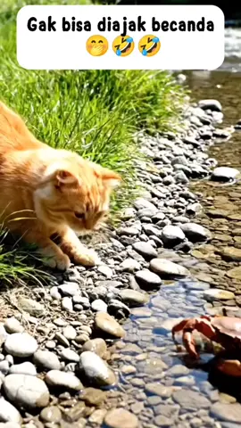 Gak bisa diajak becanda 🤭🤣🤣 #lucu #ngakak #fyp #viral