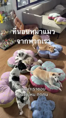 ครั้งแรกที่นอนหมาแมว Gluta Story ! 