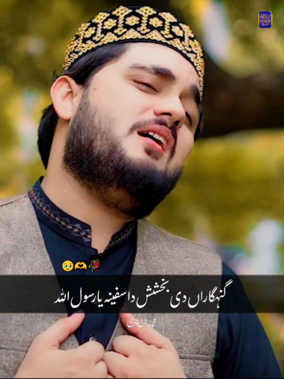Like And Repost ❤️‍🩹🥀❣️🫶#muhammadadnanqadri #foryou #foryoupage 