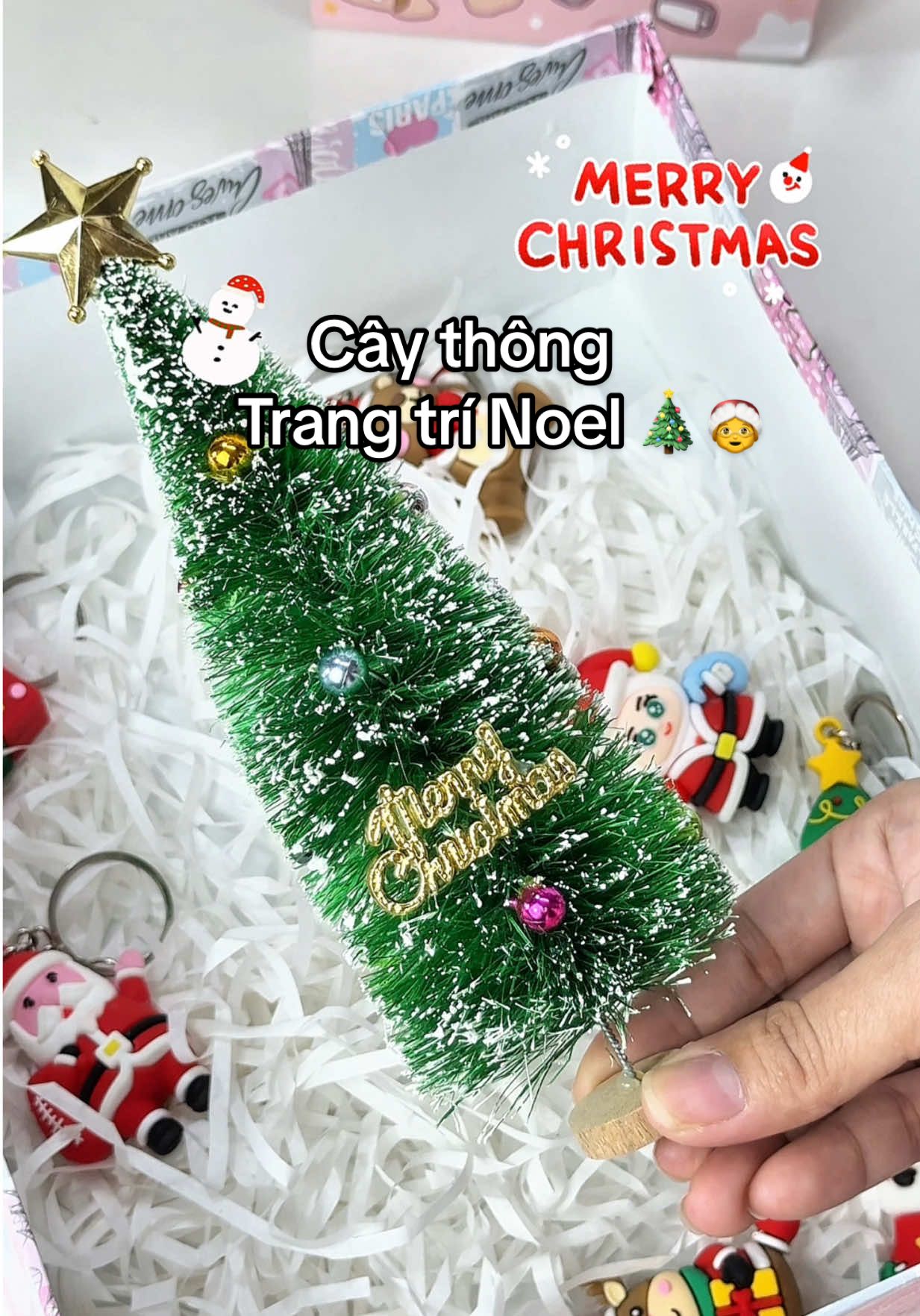 Cây Thông Noel Mini Phủ Tuyết Kèm Chữ Merry Christmas, #caythongnoel #caythongmini #caythonggiangsinh #xuhuong #merrychristmas🎄  @𝗕𝗲́ 𝗧𝗵𝘂́𝗶 𝗥𝗶̀ 𝗩𝗶𝘂🍒  @𝗕𝗲́ 𝗧𝗵𝘂́𝗶 𝗥𝗶̀ 𝗩𝗶𝘂🍒  @𝗕𝗲́ 𝗧𝗵𝘂́𝗶 𝗥𝗶̀ 𝗩𝗶𝘂🍒 