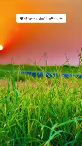 #تصويري#تصويري_احترافي_الاجواء👌🏻#تصاميم_فيديوهات#الفخمه🦋🖤🖇ـــــــــــــــــــــــــــــــــــــــــــــــــــــــــ