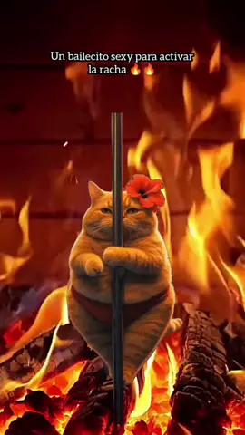 #CERVECEROALE #cervezafansdjale un bailecito sexy para activar la racha