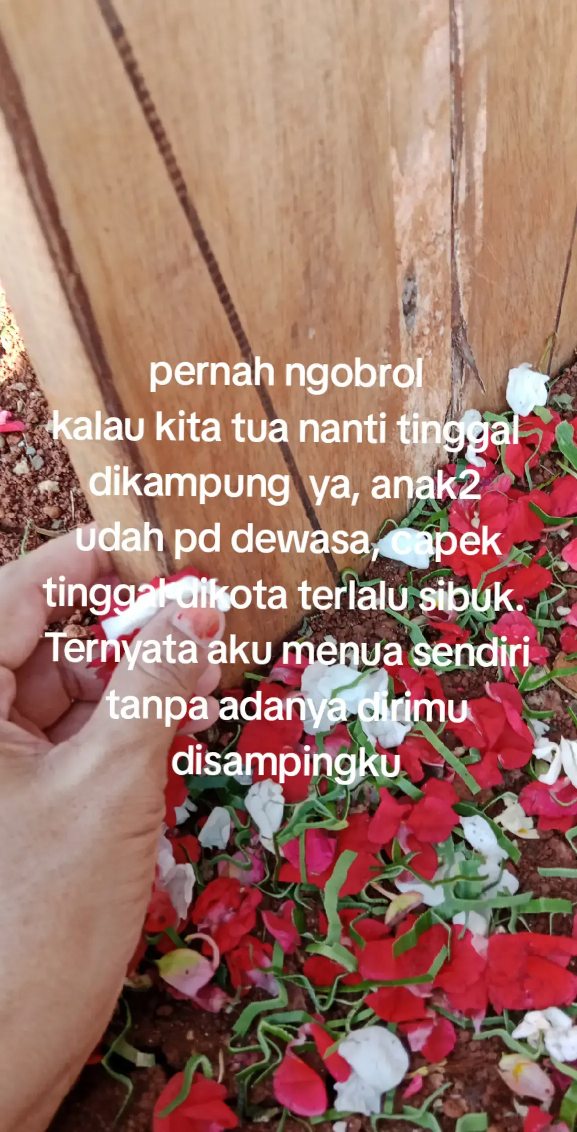 semua tinggal kenangan#menua  sendiri menghabiskan waktu,  sampai bertemu nanti suami surgaku Alfatihah dari kami berlima