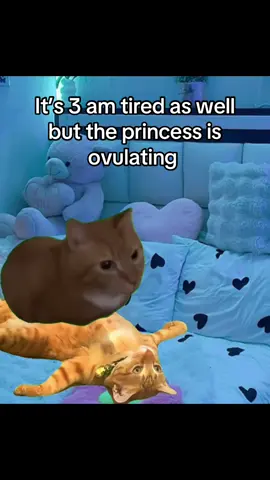 Relatable 😭? #relatable #couple #bf #gf #viral 