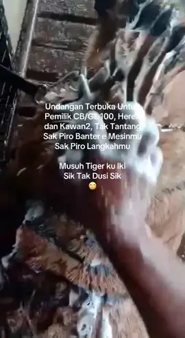 Undangan Terbuka Untuk Juara Bertahan Herex, Drag Dan Kawan2 #fypシ゚  #fyppppppppppppppppppppppp  #cbracingtouring  @TRIS_JAVLONG  @CB PALESTINA  @Wonosari_Racing_Team 