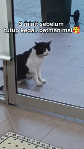 Walaupun saya bukanlah org yg baik, tapi saya memilih untuk berusaha menjadi hamba yang baik, sebab Allah Maha Baik, terlalu byk nikmat dan rezeki yg Dia beri..jadi kita hanya berkongsi dan tunjukkan ihsan kepada semua makhluk juga☺ kita semua boleh jadi orang baik❤️ #kucingjalanan #kucing #sharing #spreadkindness #foryoupage 