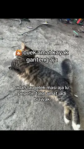 mengunjungi profil anda🫵🏻🤣