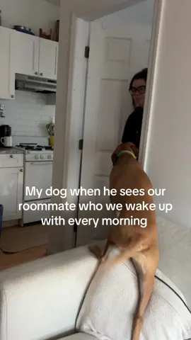 A revelation every morning 