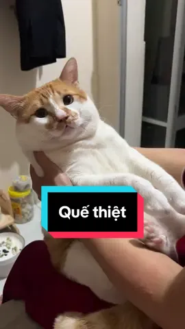 Phong ba bão tố không bằng điệu cười hô hố của bà zà 😒 #domdungdinh @Ín Phan 