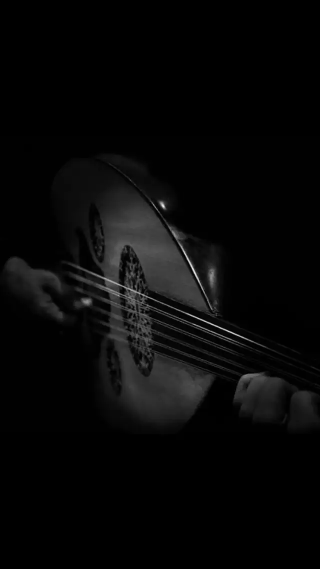 #بشير_حمد_شنان #اكسبلور_تيك_توك #طرب #اكسبلور