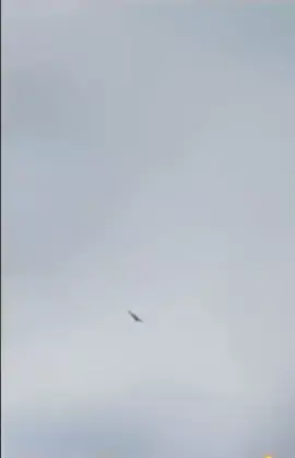 Появилось видео, как 