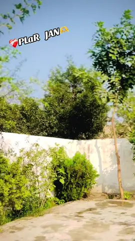 Yallah Zma daje La Zma umar om warki 🤲❤️‍🩹🥺🫶#repost #plzunfrezemyaccount @Umair Alone @Jawad Khan @ziakhan75661 @Sajjad Khan 