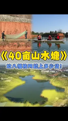花10万元包下40亩的山水塘，看到底能上些什么货？#fish #fishingtiktoks #fishlife #bigfish 