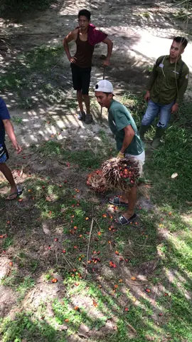 Biar nampak sikit anak perkebunannya wkwk