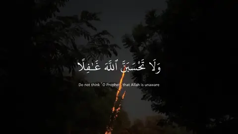 #quran #عبدالرحمن_مسعد 