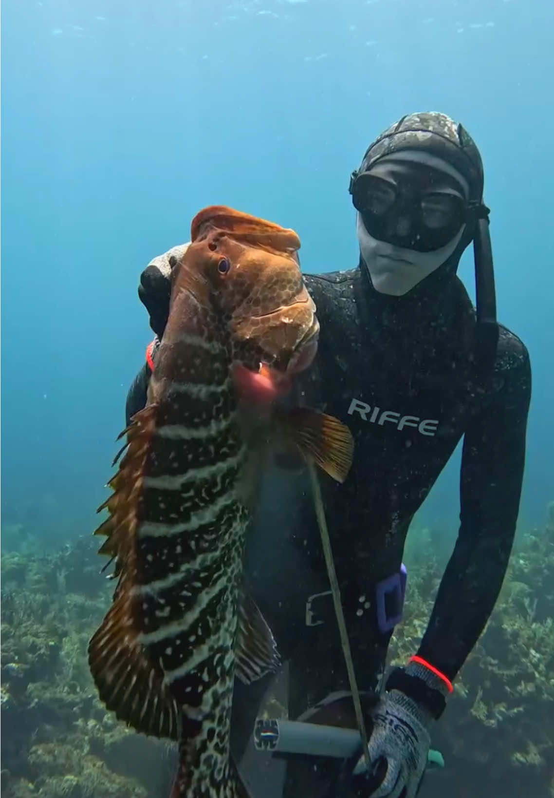 #ocean #fishing #sea #spearfishing #fishinglife 