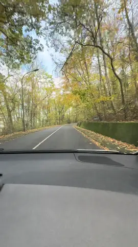 #امال_ماهر #اليسا #foryoupagе #foruyou #france 