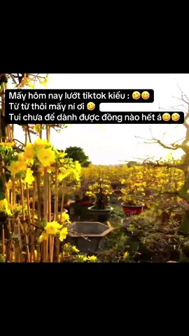 Mấy hôm nay lướt tiktok kiểu : 🤣😆 Từ từ thôi mấy ní ơi 🤣 Tui chưa để dành được đồng nào hết á😆🤣 #fyppppppppppppppppppppppp #xuhuong #tết2026🌸🌸🧧🎆🎇 #tet2026🧨🧨🧨🧨🧨🧧🧧🧧 #tet2026 