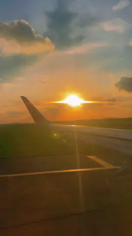 Nhớ thương đúng người gọi là nhớ thương 🌻