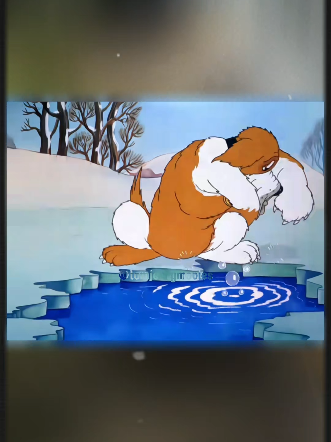 Đại cẩu này có kinh nghiệm đầy mình #fyp #hoathinh #tomandjerry #tomjerrymovies0