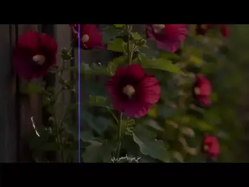 #ساقبل_يا_خالقي_من_جديد #foryou #explore #explore #اناشيد_بدون_موسیقی 