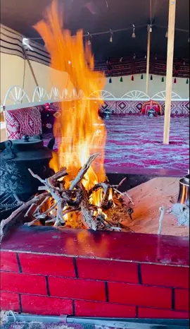 #اكسسسبلووورررر #شمر#طنايا