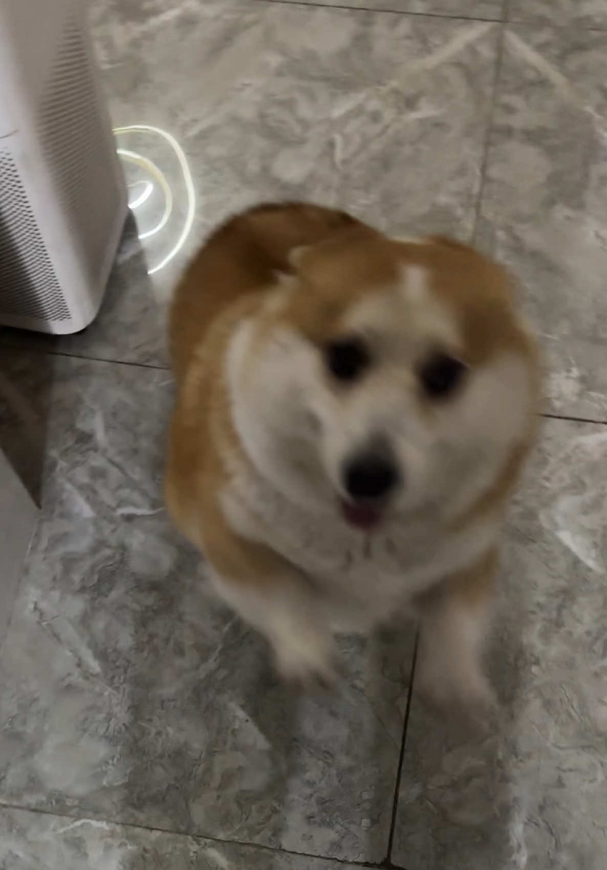 Tưởng 2 kiếp người rồi mới gặp lại 😂