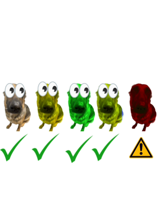 idk I'm half asleep #viralvideo #xyzbca #funny #fyp #CapCut 