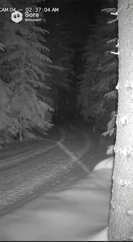 Its Time ?! #santa #chrismas #camera 