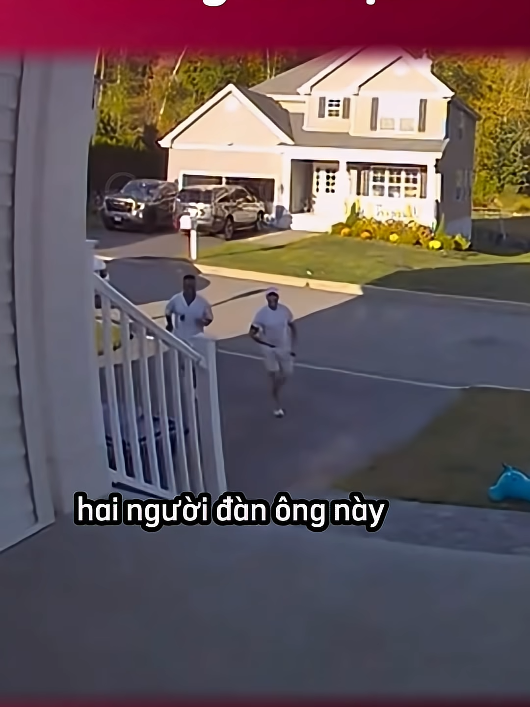 Đáng yêu vậy  #giangcuman #cudanmang #trending #foryou #haihuoc #fyp #top