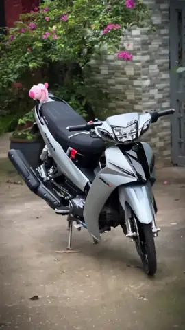 Mua tặng em #xuhuong #viral #dochoixemay48 #xedovietnam #siriusđộkiểng 