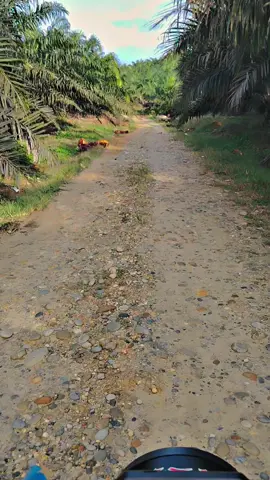 nikmati 😊😇#kulisawit #fyp 