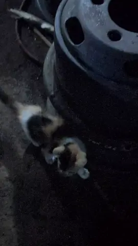 Tor Monitor Ketua Spek THAILOOK segera di readykan 🤙