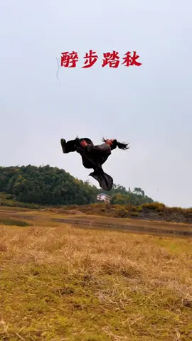 #NghichThuyHan #SwordofJustice #ShowMeYourNTH  将秋日典藏为册，以拳风翻阅。  #duguqiubai #独孤求败 