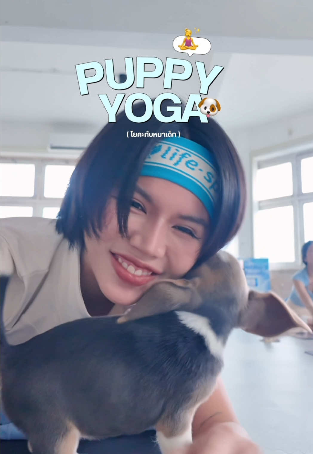 ฮีลใจกับน้องหมาเด็ก…  วันนี้มาพบคุณโยเกิร์ต  @YG ในงาน Life Space “Balance From Within”  อีเวนต์สุดอบอุ่นที่ทำให้รู้ว่า ความสุขเริ่มได้จากตัวเราเอง 🩵 #LifespaceBalanceformwithin #Lifespace #Lifespacethailand #Tiktoklooks 