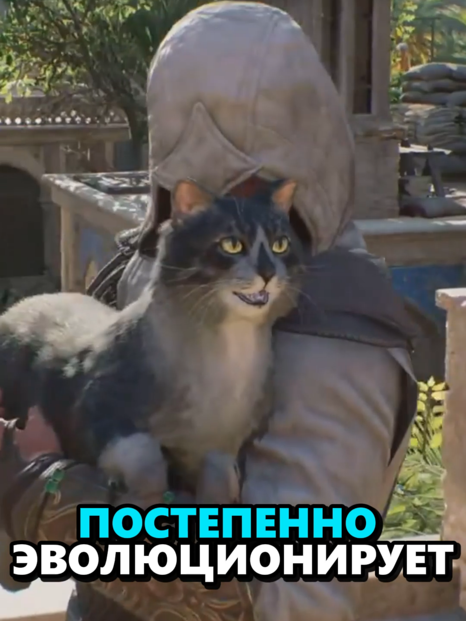 Ассасин и Котики#игры #assassinsceed