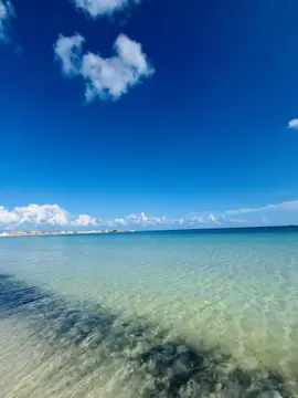 আমার মায়ের দোয়া'ই আমার সফলতার জন্য যথেষ্ট!😊🇪🇺#লিবিয়া🇱🇾প্রবাসী #bangladesh🇧🇩 #torikul13 #foryou @🇧🇩✈️ Dukher🇱🇾 sagor🛥️🇪🇺 