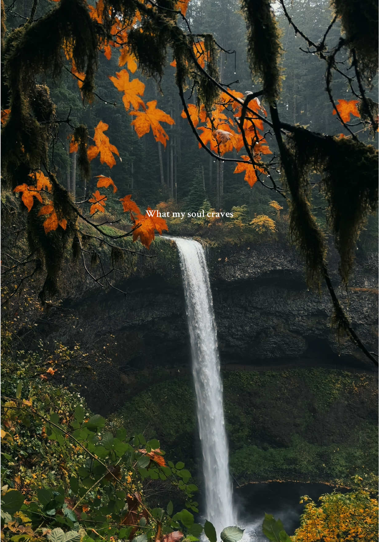 What my soul craves 🖤