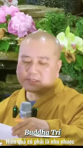 Hiền quá có phải là nhu nhược #nammobonsuthichcamauniphat #levanchon #thichphaphoa #fyp #nammoadidaphat 