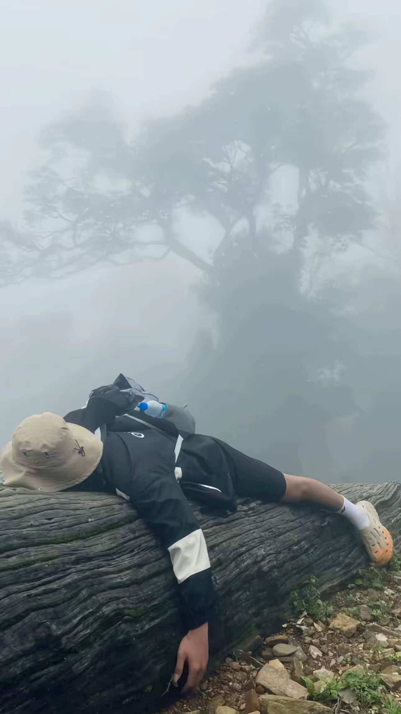 hoa của bà chị hai 😌