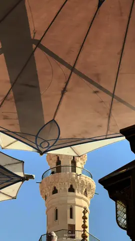 ﴿ إِنَّ اللَّهَ وَمَلَائِكَتَهُ يُصَلُّونَ عَلَى النَّبِيِّ ۚ يَا أَيُّهَا الَّذِينَ آمَنُوا صَلُّوا عَلَيْهِ وَسَلِّمُوا تَسْلِيمًا﴾ ‏[ الأحزاب: 56] ‏اللهم صل وسلم وبارك على نبينا محمد ﷺ 🌷☘️ #عبدالمحسن_القاسم#اللهم_صلي_على_نبينا_محمد#اكسبلور#fyp#foryou