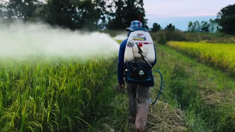ก้านเดิมมันร้ายน่ะพี่🤫🤟🏻💯💨 #ชัยนาทอีกล่ะหร๋อ #ท้ายพายุ #เครื่องฉีดยาซิ่ง @ช่างเอ้ปั้มซิ่งสุพรรณ #767บ้านนา #เดิมๆ 