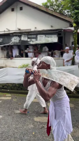 Pagelaran Budaya Ma’atenu #cakalelepelauw #maatenupakapita #adatmaluku #malukupride🏝🔥 