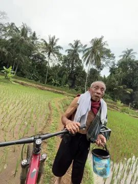 Adventure di sawah ketemu si uwa mau mandi, salim dulu dong 🤝 #fyp #mtb 