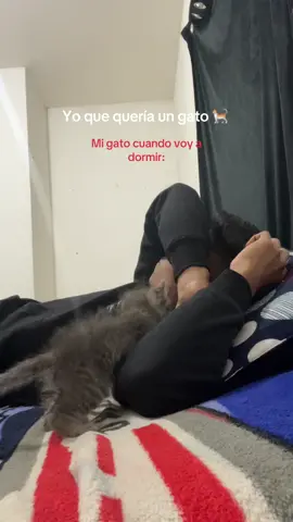 Por qué? 🥲 #michi 