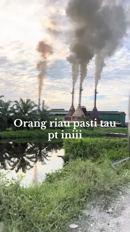 #anakriau #bugisbone #fyppppppppppppppppppppppp 