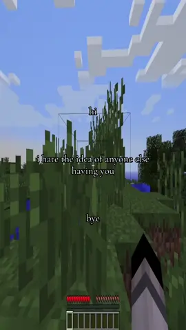 #wockst★rz #Minecraft #Love 