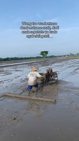 maturnuwun nggih pak🙏🏻 #petanimuda #petaniindonesia🇮🇩🇮🇩🇮🇩🌿🌿 #petanipadi #traktorsawah 