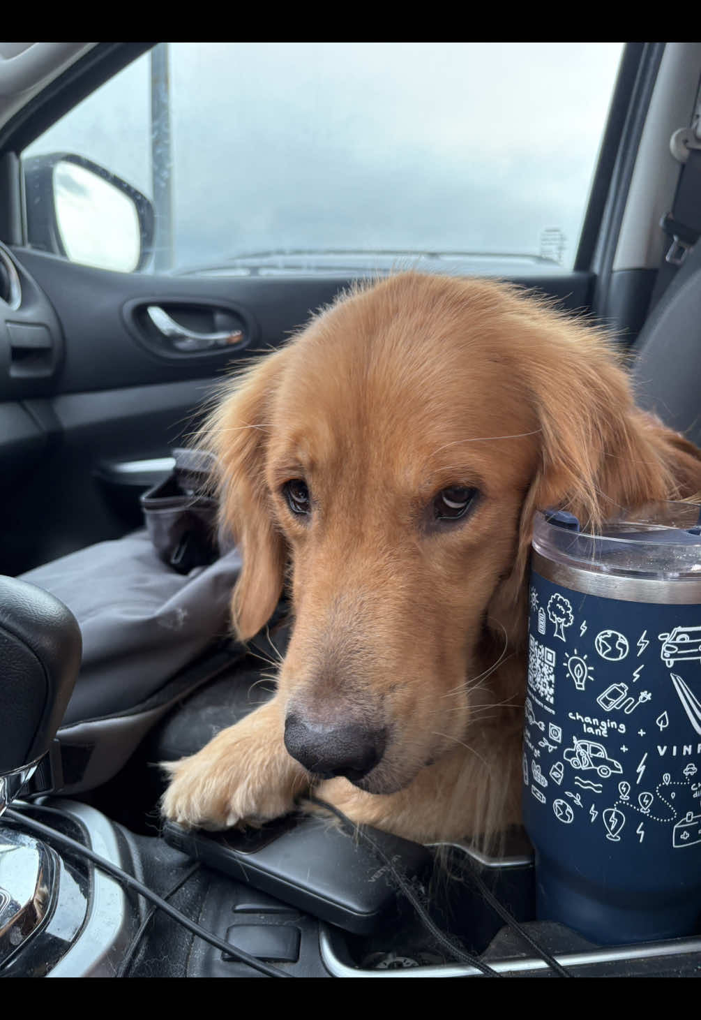 aw i lovelovelovelove music :(  #pacoconuts #nothing 